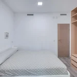 paseo-reina-cristina-24