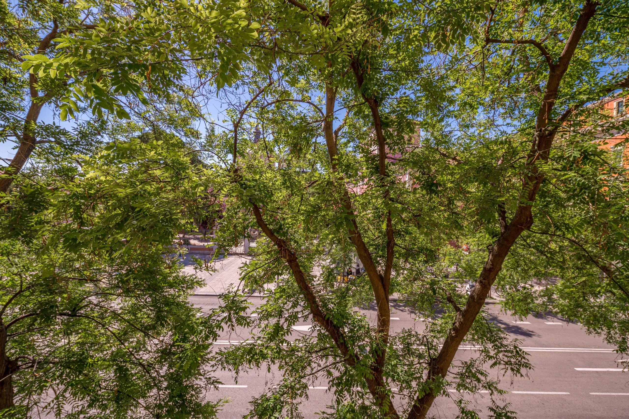 Barcelo-1-1o-izq-Bestflat-26-scaled